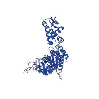 21892_6wsg_D_v1-1
ClpX-ClpP complex bound to ssrA-tagged GFP, intermediate complex