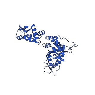 21892_6wsg_E_v1-1
ClpX-ClpP complex bound to ssrA-tagged GFP, intermediate complex