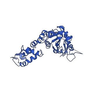 21892_6wsg_F_v1-1
ClpX-ClpP complex bound to ssrA-tagged GFP, intermediate complex