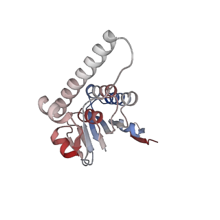 21892_6wsg_H_v1-1
ClpX-ClpP complex bound to ssrA-tagged GFP, intermediate complex