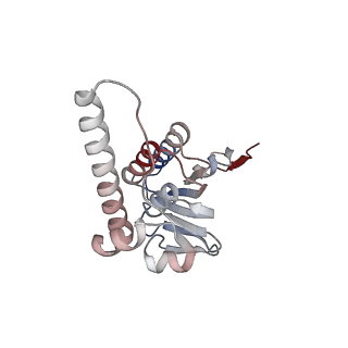 21892_6wsg_I_v1-1
ClpX-ClpP complex bound to ssrA-tagged GFP, intermediate complex