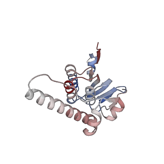 21892_6wsg_J_v1-1
ClpX-ClpP complex bound to ssrA-tagged GFP, intermediate complex