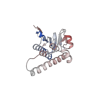 21892_6wsg_K_v1-1
ClpX-ClpP complex bound to ssrA-tagged GFP, intermediate complex