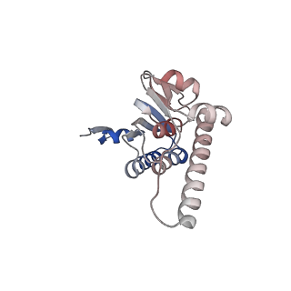 21892_6wsg_L_v1-1
ClpX-ClpP complex bound to ssrA-tagged GFP, intermediate complex