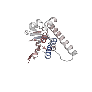 21892_6wsg_M_v1-1
ClpX-ClpP complex bound to ssrA-tagged GFP, intermediate complex