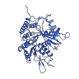 21893_6wsl_A_v1-1
Cryo-EM structure of VASH1-SVBP bound to microtubules