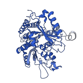 21893_6wsl_B_v1-1
Cryo-EM structure of VASH1-SVBP bound to microtubules