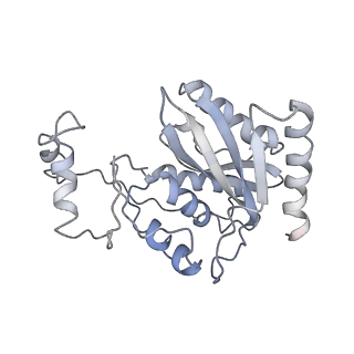 21893_6wsl_C_v1-0
Cryo-EM structure of VASH1-SVBP bound to microtubules