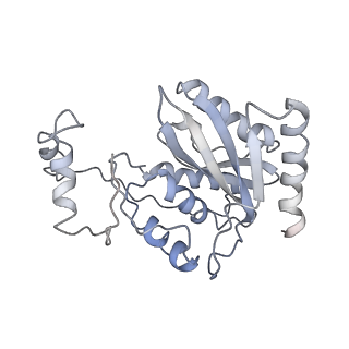 21893_6wsl_C_v1-1
Cryo-EM structure of VASH1-SVBP bound to microtubules