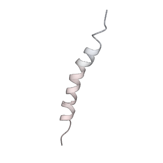 21893_6wsl_D_v1-0
Cryo-EM structure of VASH1-SVBP bound to microtubules