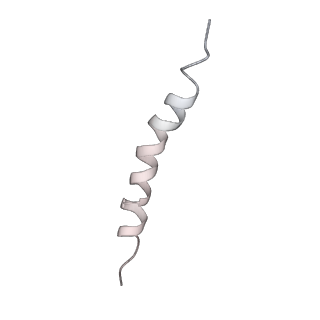 21893_6wsl_D_v1-1
Cryo-EM structure of VASH1-SVBP bound to microtubules