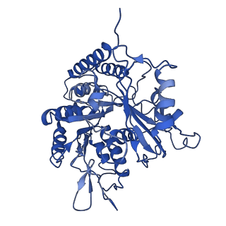 21893_6wsl_E_v1-0
Cryo-EM structure of VASH1-SVBP bound to microtubules