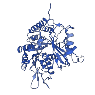 21893_6wsl_E_v1-1
Cryo-EM structure of VASH1-SVBP bound to microtubules