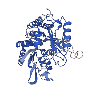 21893_6wsl_F_v1-1
Cryo-EM structure of VASH1-SVBP bound to microtubules