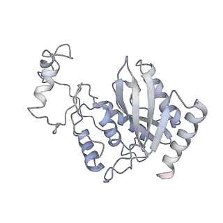 21893_6wsl_G_v1-0
Cryo-EM structure of VASH1-SVBP bound to microtubules