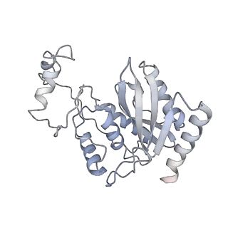 21893_6wsl_G_v1-1
Cryo-EM structure of VASH1-SVBP bound to microtubules