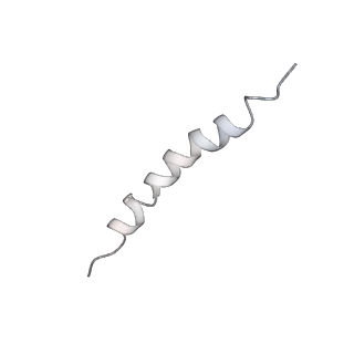 21893_6wsl_H_v1-1
Cryo-EM structure of VASH1-SVBP bound to microtubules