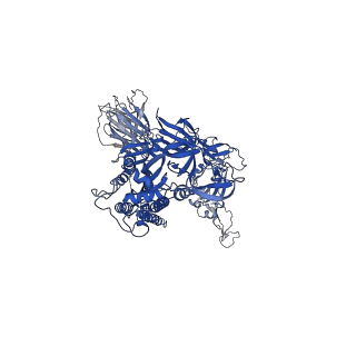 32739_7ws0_B_v1-0
Structures of Omicron Spike complexes illuminate broad-spectrum neutralizing antibody development