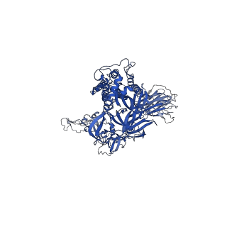 32739_7ws0_C_v1-0
Structures of Omicron Spike complexes illuminate broad-spectrum neutralizing antibody development