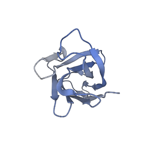 32739_7ws0_I_v1-0
Structures of Omicron Spike complexes illuminate broad-spectrum neutralizing antibody development