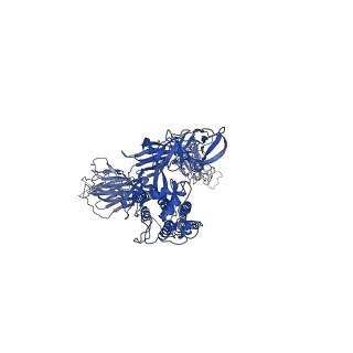 32740_7ws1_B_v1-0
Structures of Omicron Spike complexes illuminate broad-spectrum neutralizing antibody development