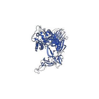 32740_7ws1_C_v1-0
Structures of Omicron Spike complexes illuminate broad-spectrum neutralizing antibody development