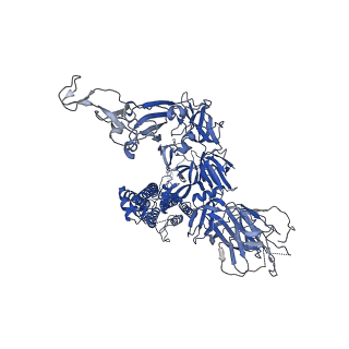 32742_7ws3_C_v1-0
Structures of Omicron Spike complexes illuminate broad-spectrum neutralizing antibody development