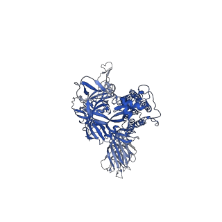 32744_7ws5_C_v1-0
Structures of Omicron Spike complexes illuminate broad-spectrum neutralizing antibody development