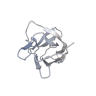 32744_7ws5_E_v1-0
Structures of Omicron Spike complexes illuminate broad-spectrum neutralizing antibody development