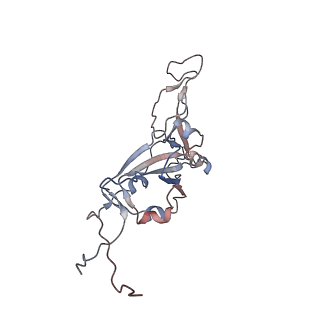32748_7ws6_C_v1-0
Structures of Omicron Spike complexes illuminate broad-spectrum neutralizing antibody development