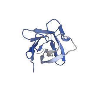 32748_7ws6_I_v1-0
Structures of Omicron Spike complexes illuminate broad-spectrum neutralizing antibody development