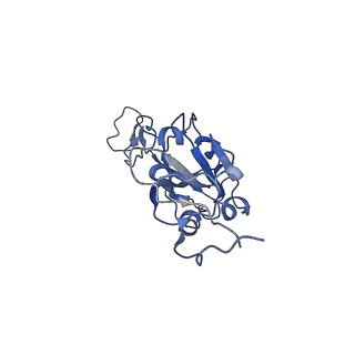 32749_7ws7_B_v1-0
Structures of Omicron Spike complexes illuminate broad-spectrum neutralizing antibody development