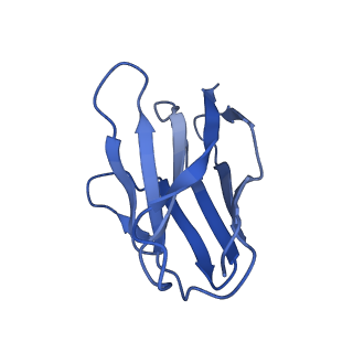 32749_7ws7_J_v1-0
Structures of Omicron Spike complexes illuminate broad-spectrum neutralizing antibody development