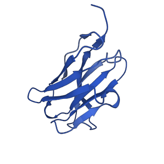 32749_7ws7_K_v1-0
Structures of Omicron Spike complexes illuminate broad-spectrum neutralizing antibody development