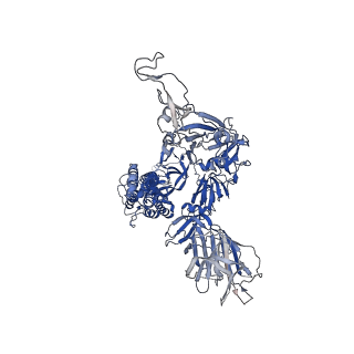 32750_7ws8_C_v1-0
Structures of Omicron Spike complexes illuminate broad-spectrum neutralizing antibody development