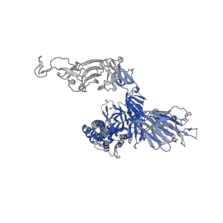 32751_7ws9_B_v1-0
Structures of Omicron Spike complexes illuminate broad-spectrum neutralizing antibody development