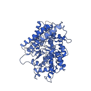 32756_7wsf_A_v1-0
Cryo-EM structure of SARS-CoV spike receptor-binding domain in complex with minke whale ACE2
