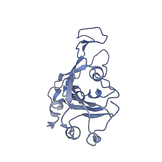 32756_7wsf_B_v1-0
Cryo-EM structure of SARS-CoV spike receptor-binding domain in complex with minke whale ACE2