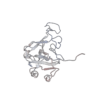 32757_7wsg_B_v1-0
Cryo-EM structure of SARS-CoV spike receptor-binding domain in complex with sea lion ACE2