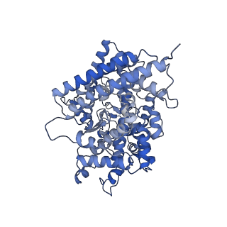 32758_7wsh_A_v1-0
Cryo-EM structure of SARS-CoV-2 spike receptor-binding domain in complex with sea lion ACE2