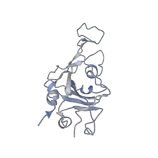 32758_7wsh_B_v1-0
Cryo-EM structure of SARS-CoV-2 spike receptor-binding domain in complex with sea lion ACE2