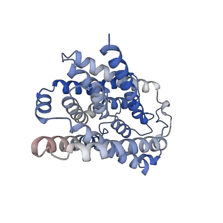 32759_7wsi_A_v1-3
Cryo-EM structure of human NTCP (wild-type) complexed with YN69202Fab