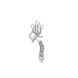 32763_7wsp_A_v1-0
Structure of a membrane protein M
