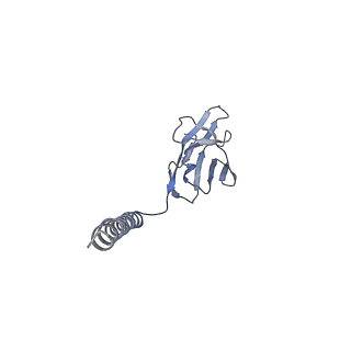 32763_7wsp_C_v1-0
Structure of a membrane protein M
