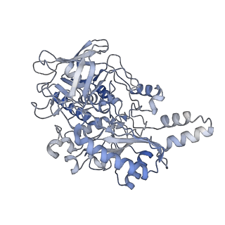 32764_7wsq_A_v1-2
Cryo-EM Structure of Membrane-bound Fructose Dehydrogenase from Gluconobacter japonicus