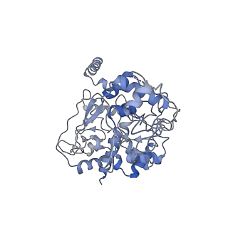 32764_7wsq_C_v1-2
Cryo-EM Structure of Membrane-bound Fructose Dehydrogenase from Gluconobacter japonicus