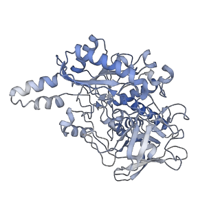32764_7wsq_D_v1-2
Cryo-EM Structure of Membrane-bound Fructose Dehydrogenase from Gluconobacter japonicus