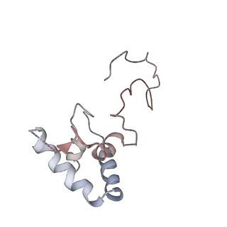 32764_7wsq_E_v1-2
Cryo-EM Structure of Membrane-bound Fructose Dehydrogenase from Gluconobacter japonicus