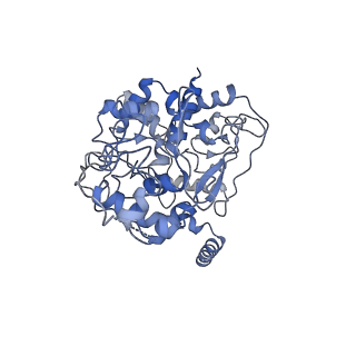 32764_7wsq_F_v1-2
Cryo-EM Structure of Membrane-bound Fructose Dehydrogenase from Gluconobacter japonicus