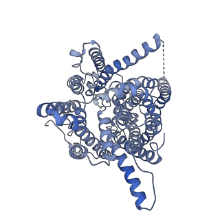 32766_7wst_A_v1-1
Cryo-EM structure of the barley Yellow stripe 1 transporter in complex with Fe(III)-DMA